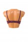 Alyvinės spalvos moteriška nėriniuota liemenėlė su "push up" DFL091