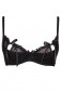 Seksuali liemenelė M51587